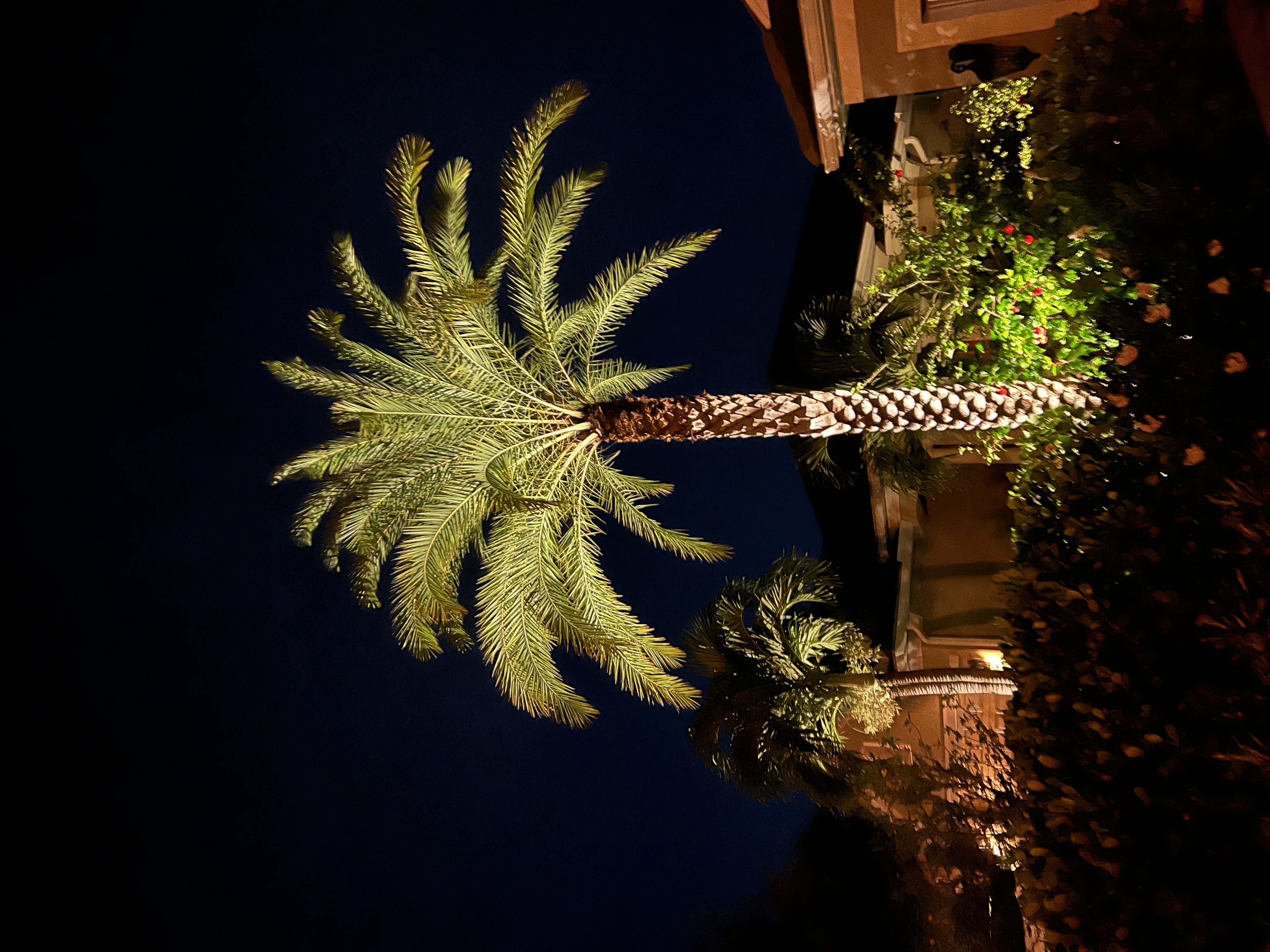 Landscape Lighting